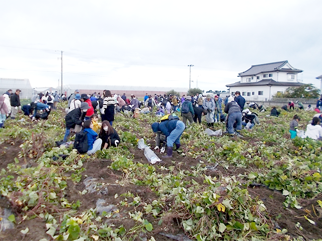 市民交流収穫祭